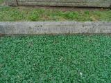 image of grave number 583080